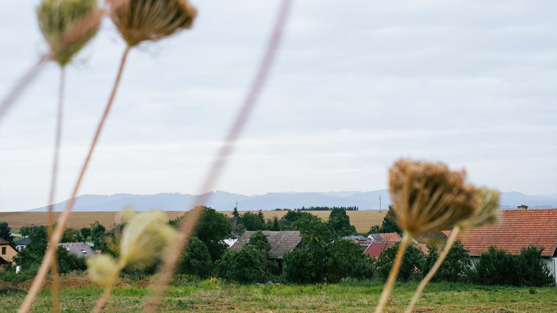 Pod Machovskou vyhlídkou