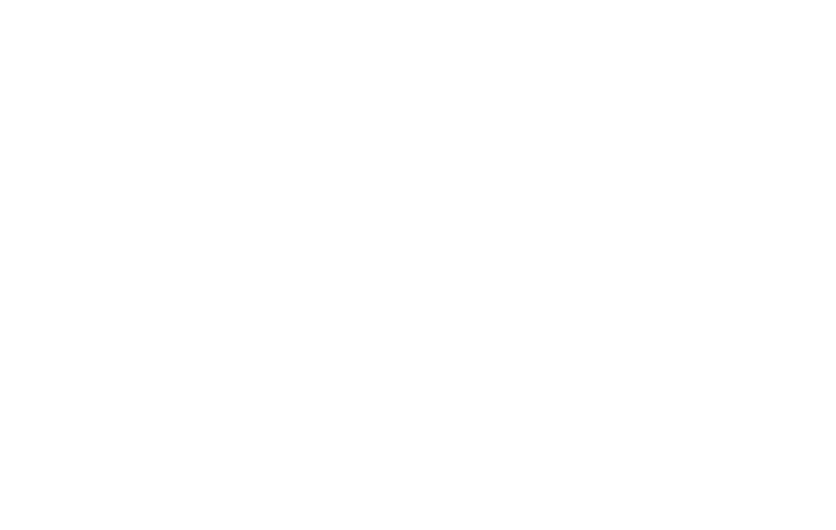 Mansion Majestic