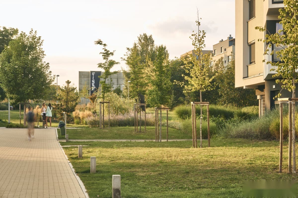 Prosek Park VIII